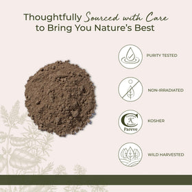 Kava Kava mélangé dans un smoothie