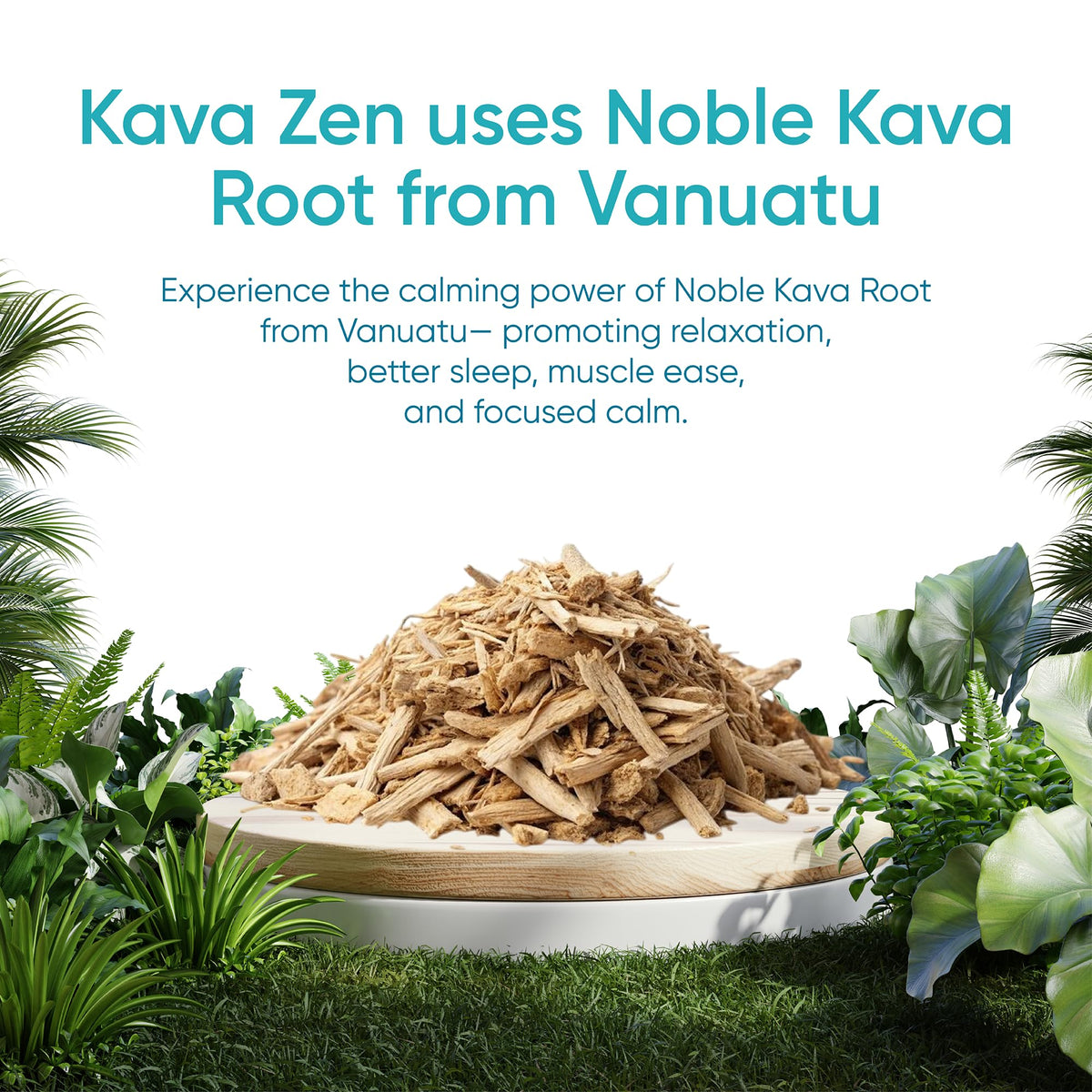 Kava Zen sachets de boisson Kava avec vue de près