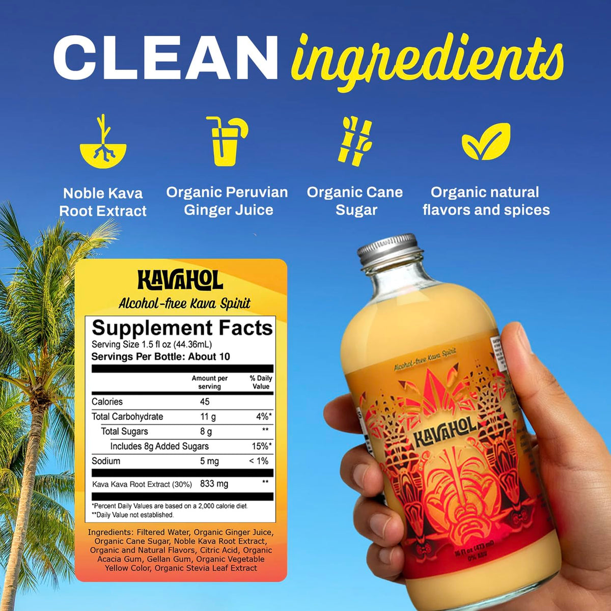 Kavahol Boisson Kava Non-Alcoolisée 16 fl oz vue de dos