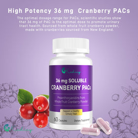 Kedicy comprimés de cranberry 36mg PACs sur fond blanc
