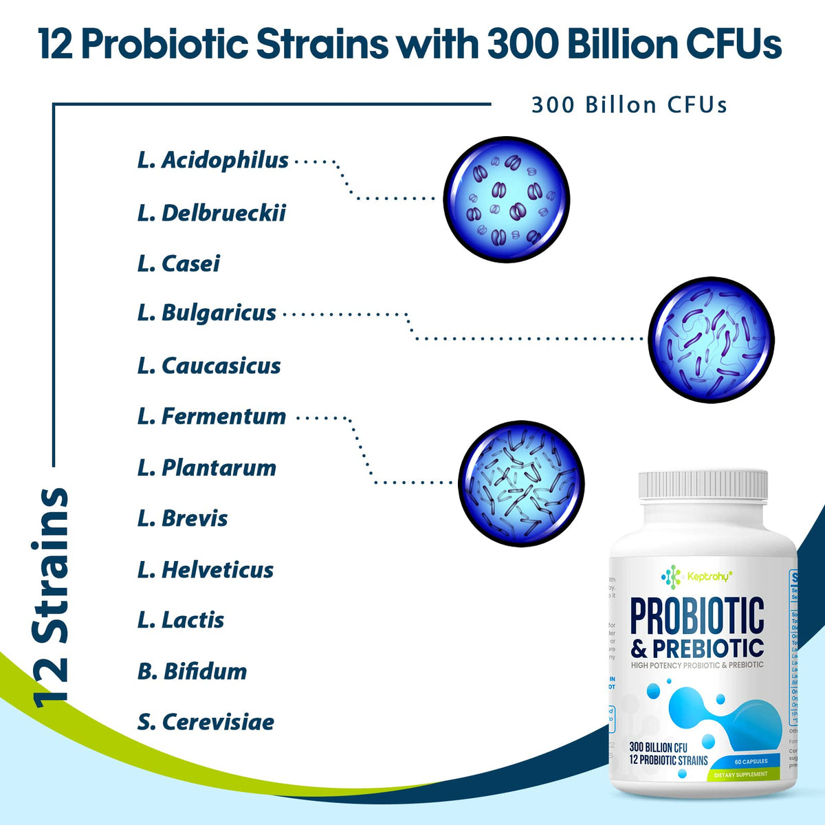 Keptrohy Probiotiques 300 Milliards CFU capsules avec des ingrédients naturels