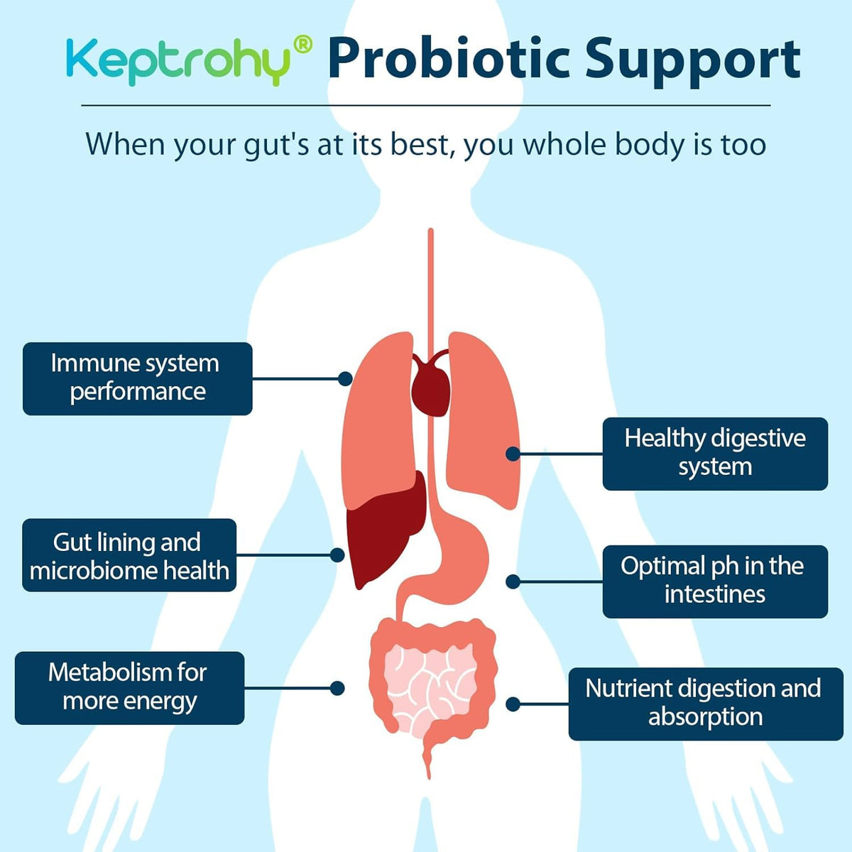 Keptrohy Probiotiques 300 Milliards CFU emballage