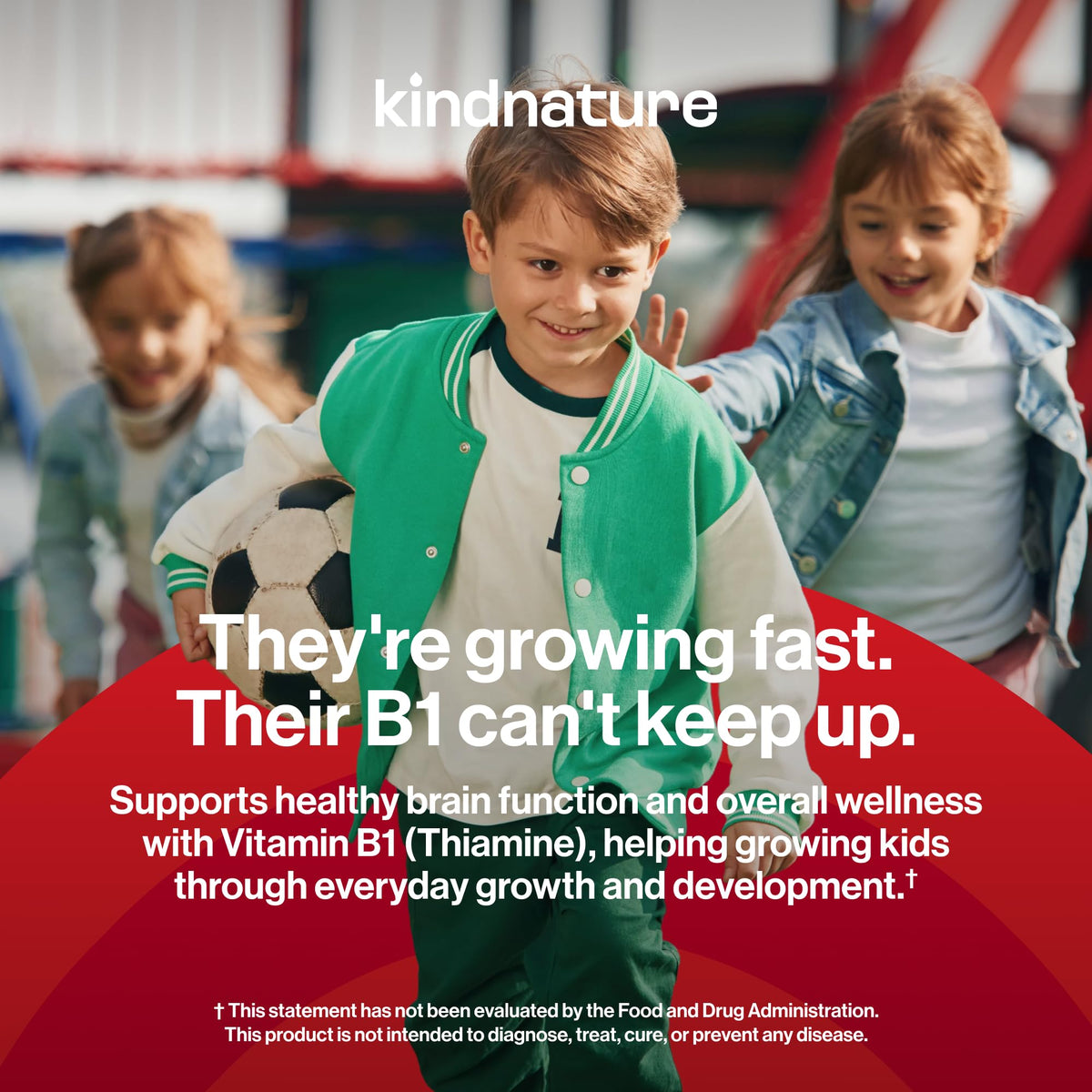 kindnature Gummies B1 500mg avec des fruits frais à côté