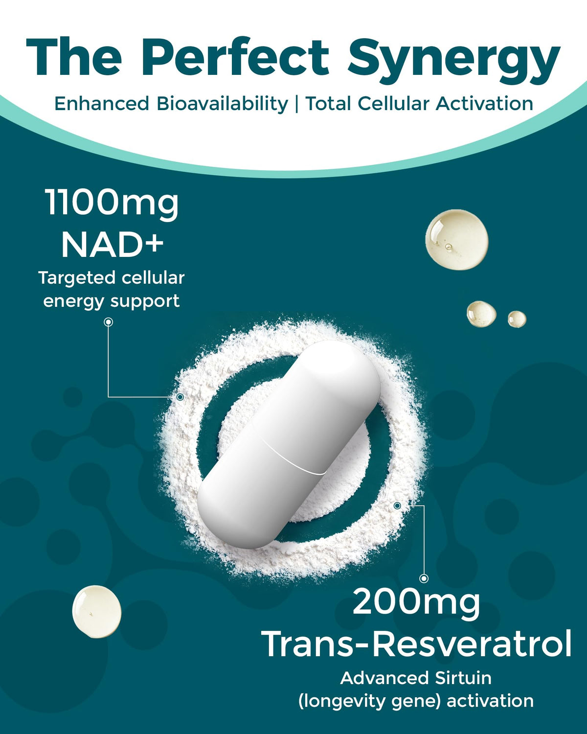 Koalatree complément NAD+ 1100mg contenant et dosette