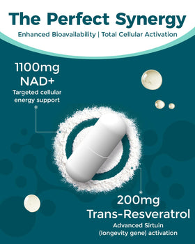Koalatree complément NAD+ 1100mg contenant et dosette