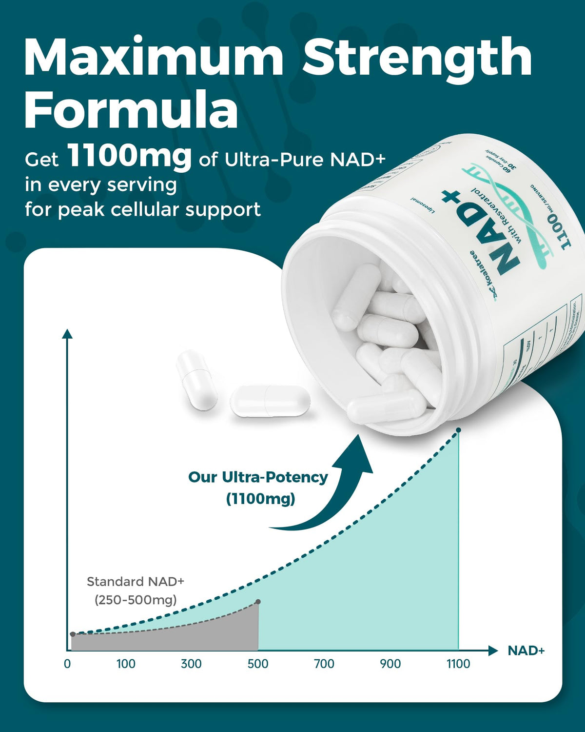 Koalatree complément NAD+ 1100mg dos de la boîte