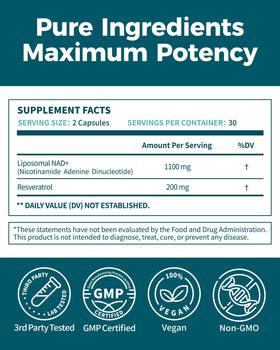 Koalatree complément NAD+ 1100mg sur une table