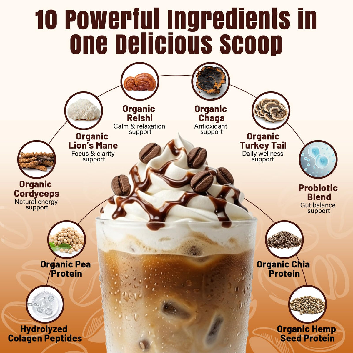 Koeleuok Poudre de Café Protéiné Mocha Froid en préparation avec de l'eau chaude