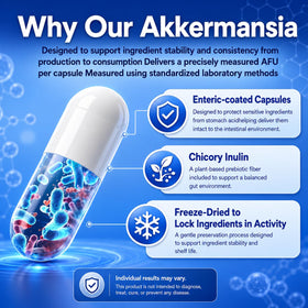 Koltyrine Probiotique Akkermansia 30 capsules sur fond blanc