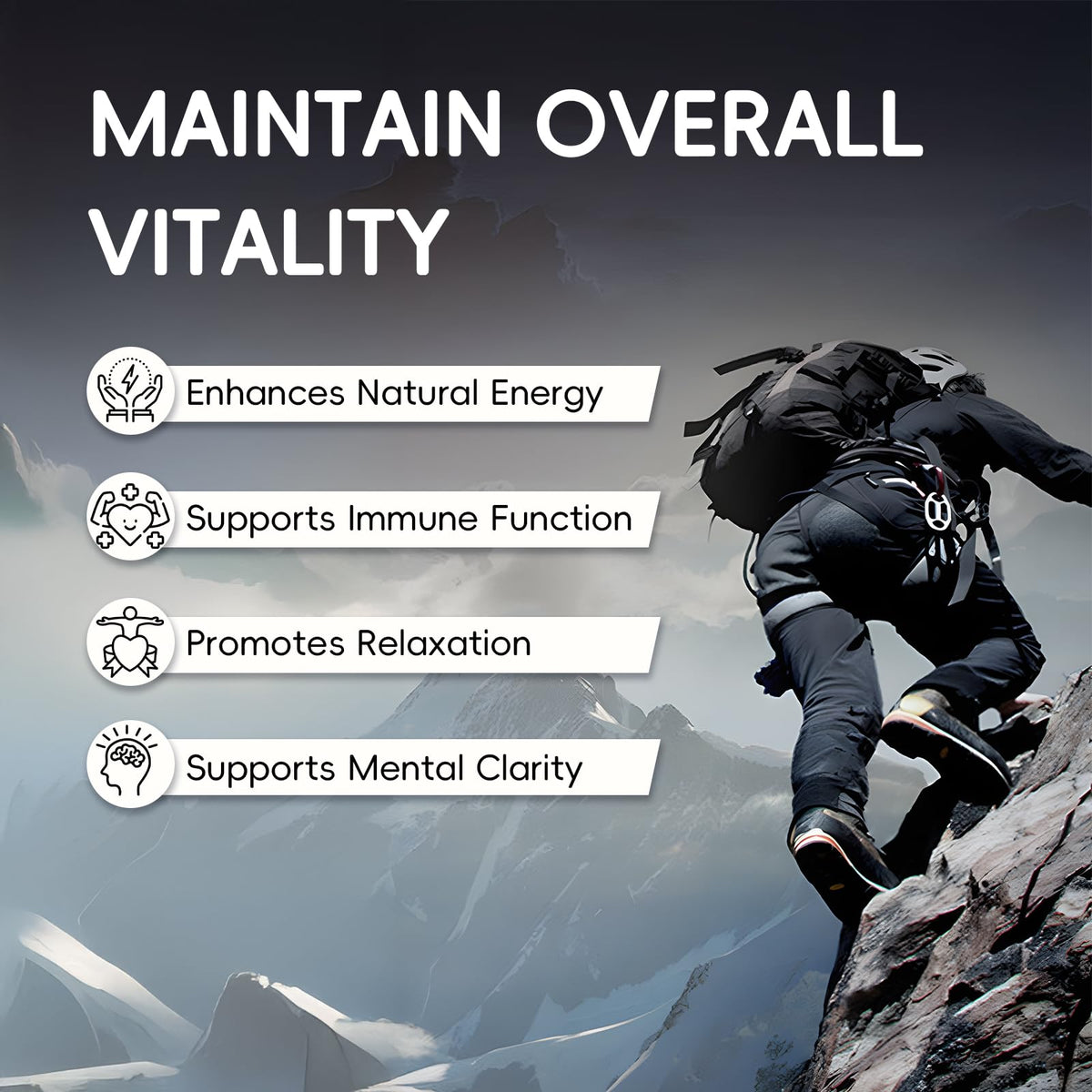 KOVGOCY Alpha Gummies pour Hommes, arrière de la boîte avec informations