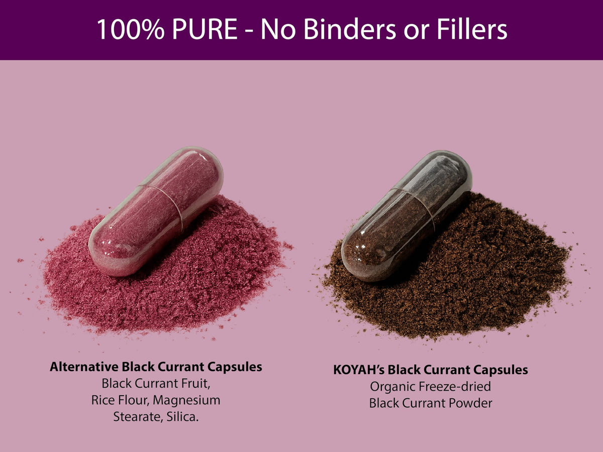 KOYAH Capsules de Cassis Bio, capsules sur une surface en bois