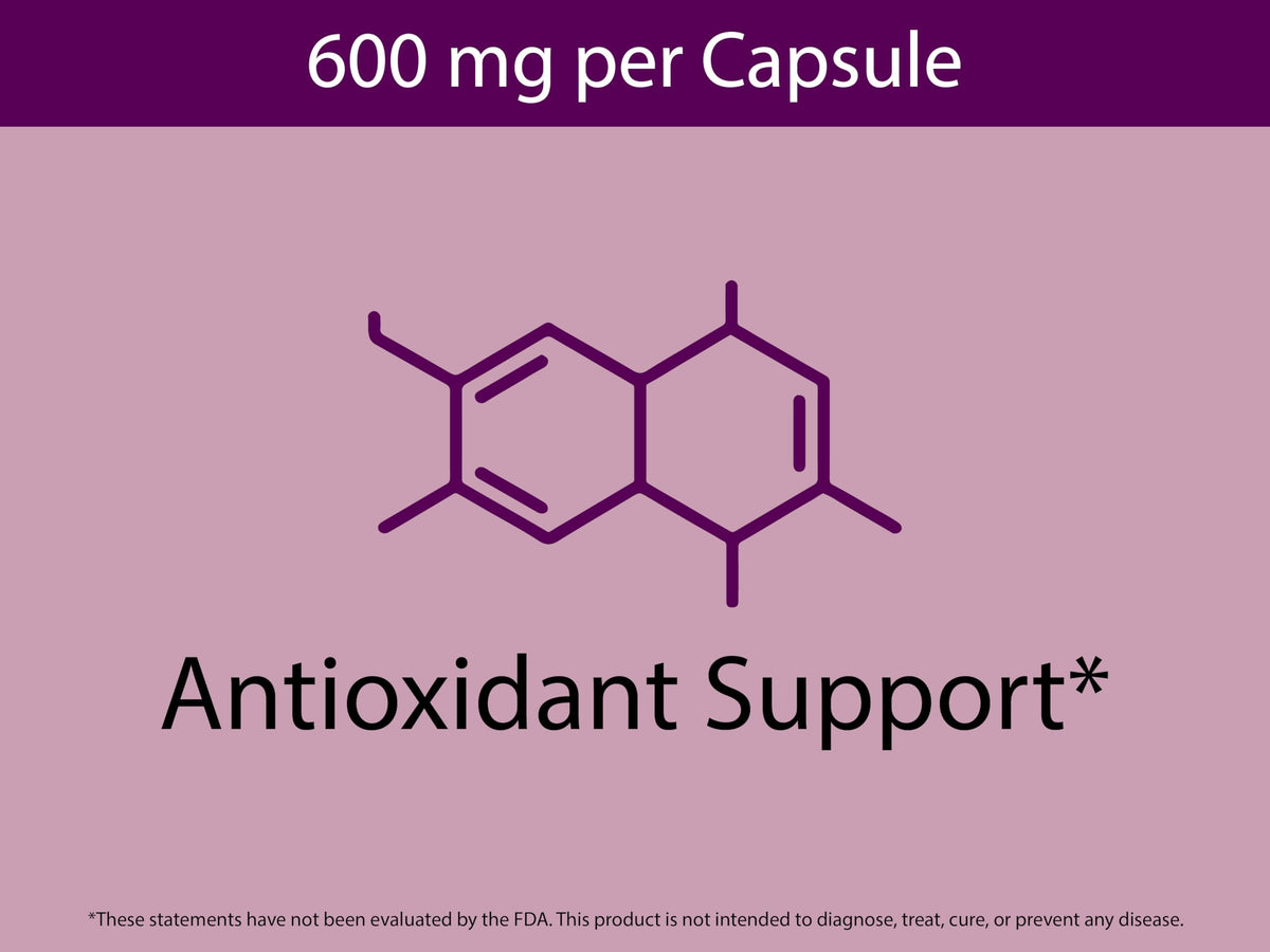 KOYAH Capsules de Cassis Bio, mise en scène avec des baies de cassis