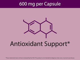 KOYAH Capsules de Cassis Bio, mise en scène avec des baies de cassis