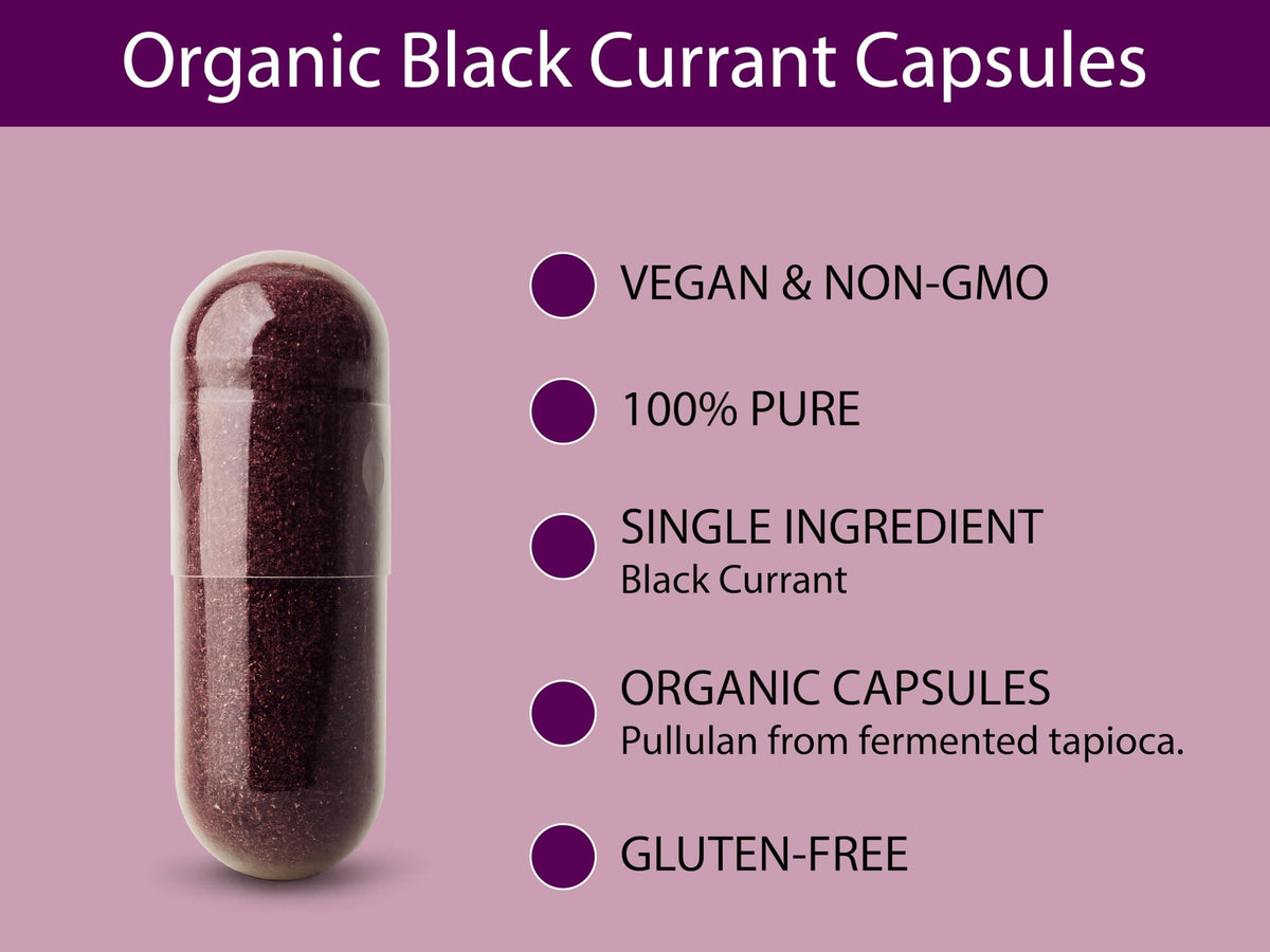 KOYAH Capsules de Cassis Bio, présentation des capsules dans une main