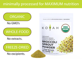 KOYAH Poudre de Germes de Brocoli Bio 132g en poudre sur une cuillère
