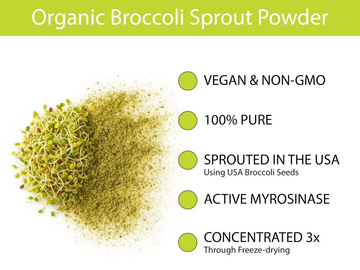KOYAH Poudre de Germes de Brocoli Bio 132g en utilisation dans un smoothie
