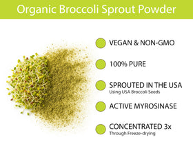 KOYAH Poudre de Germes de Brocoli Bio 132g en utilisation dans un smoothie
