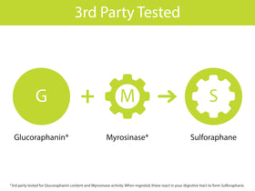 KOYAH Poudre de Germes de Brocoli Bio 132g ingrédients listés