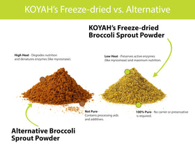 KOYAH Poudre de Germes de Brocoli Bio 132g sur une table avec des légumes