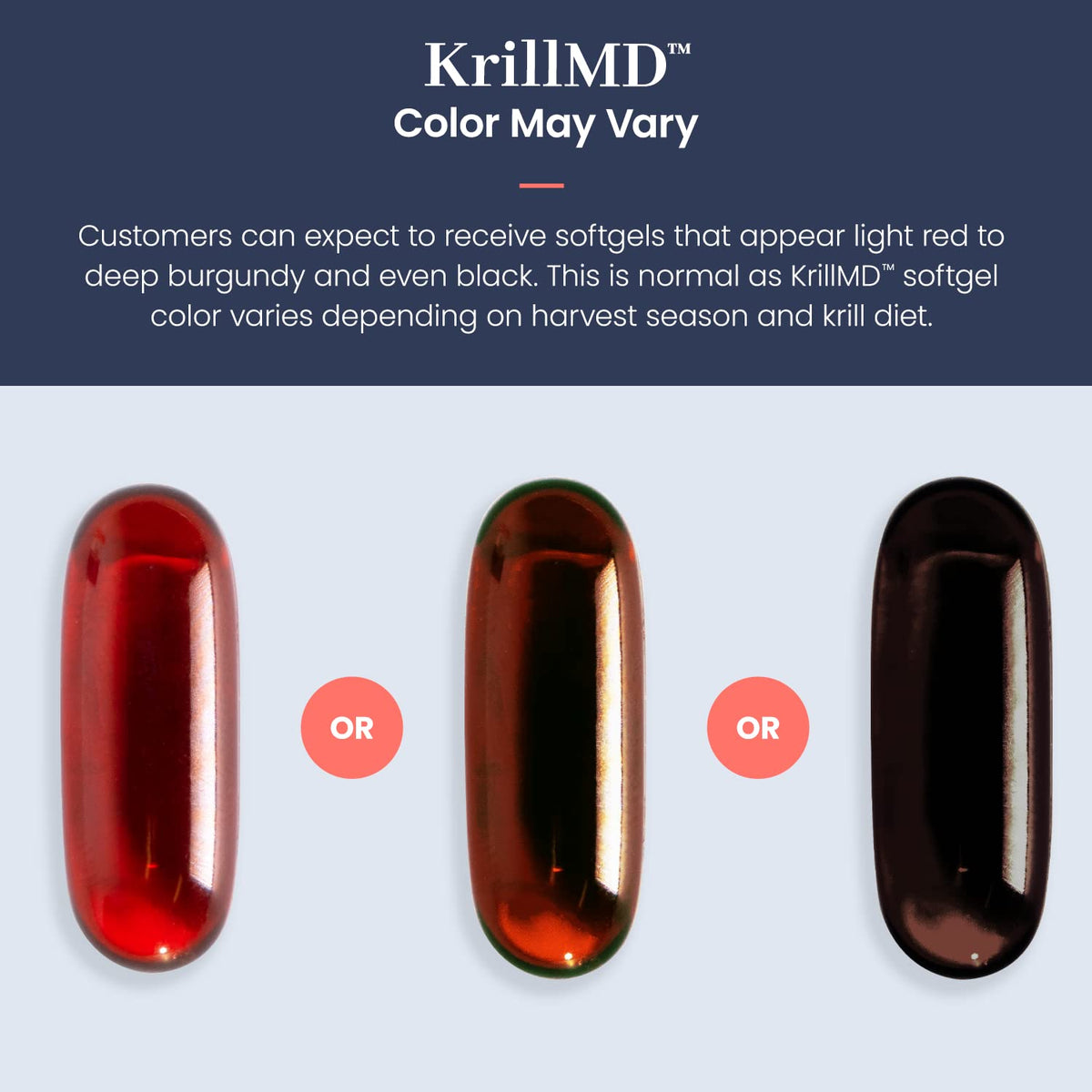 KrillMD huile de krill antarctique en utilisation quotidienne