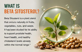 KRK SUPPLEMENTS Beta Sitosterol 800mg capsules en gros plan