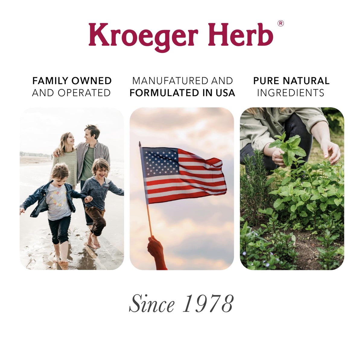 Kroeger Vermoutherbe complément alimentaire sur fond blanc