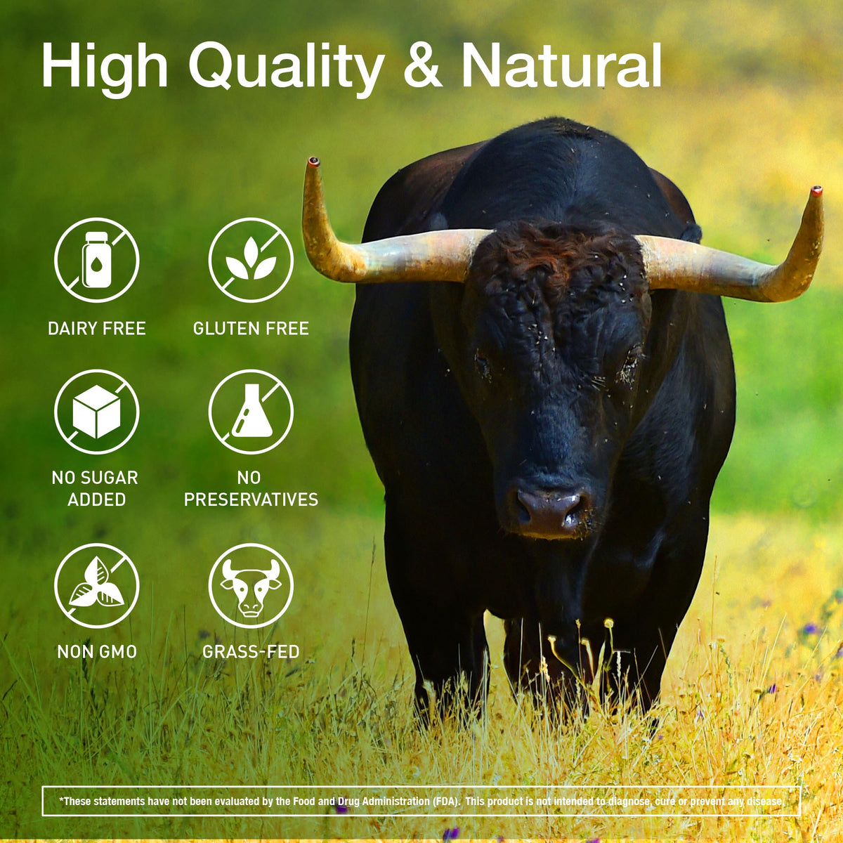 KTD BIOLABS capsules d'organes de boeuf avec ingrédients naturels