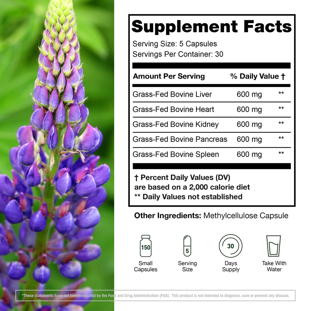 KTD BIOLABS flacon de capsules d'organes de boeuf avec étiquette
