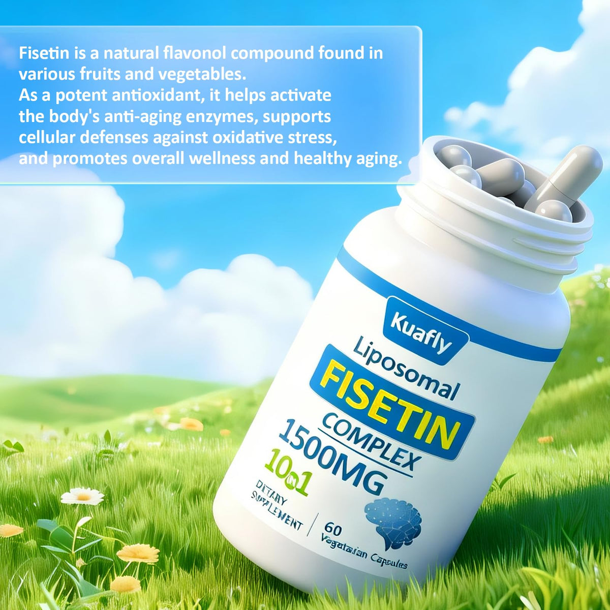 KUAFLY Fisetin 1500 mg capsules dans une main