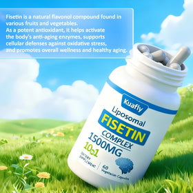 KUAFLY Fisetin 1500 mg capsules dans une main