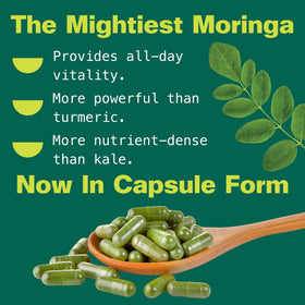 Kuli Kuli capsules de moringa bio dans un environnement naturel