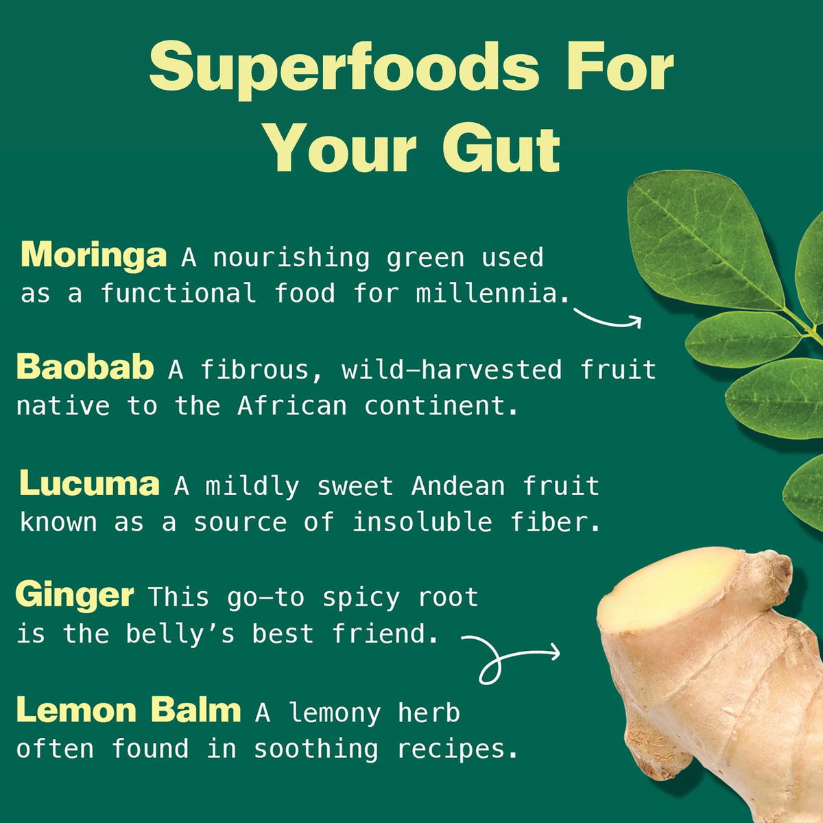 Kuli Kuli Poudre Superfood Gut Bliss 150g - mélange dans un bol