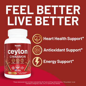 Kwala Nutrition complément alimentaire cannelle de Ceylan 60 capsules vue arrière