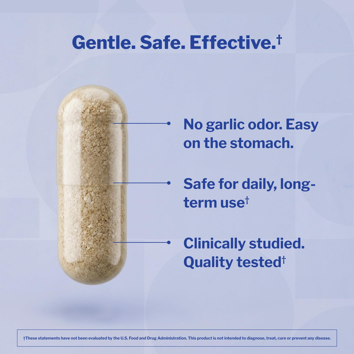 Kyolic Aged Garlic Extract 100 Capsules arrière