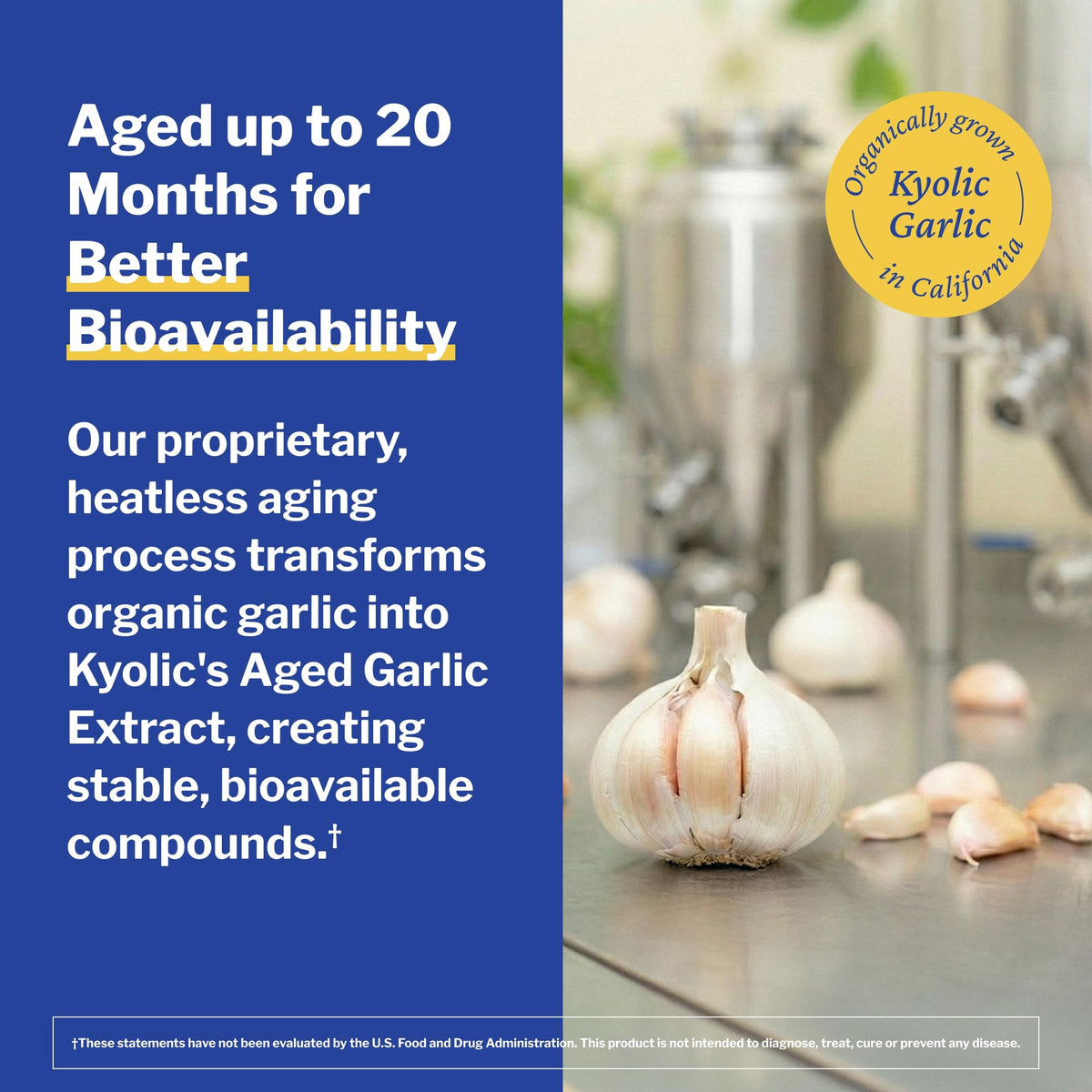 Kyolic Aged Garlic Extract 100 Capsules avec d'autres compléments