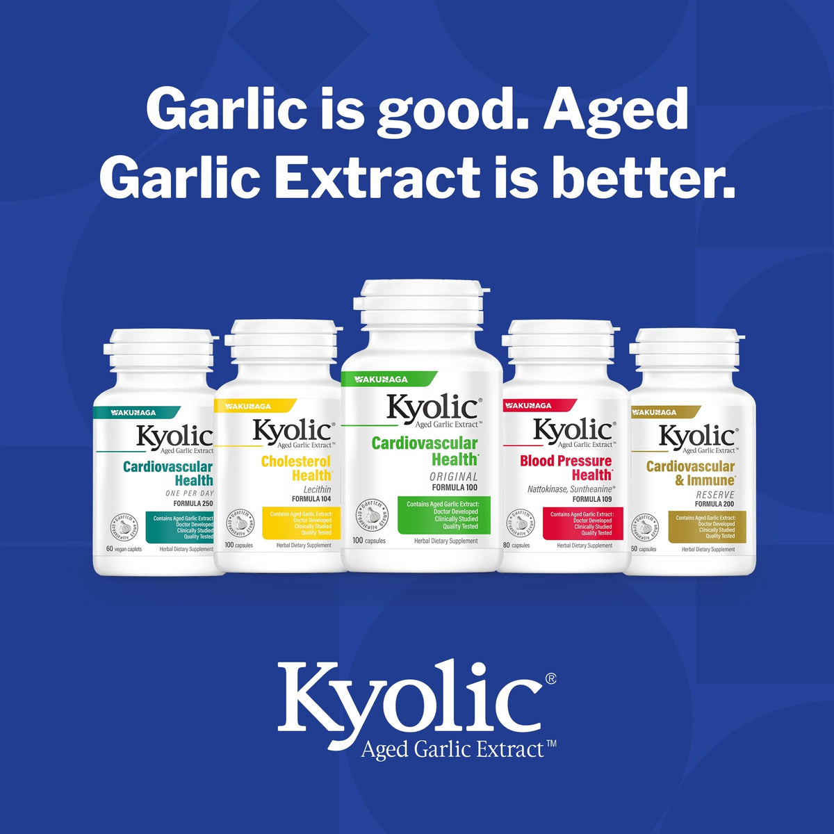 Kyolic Aged Garlic Extract 240 capsules, vue de côté