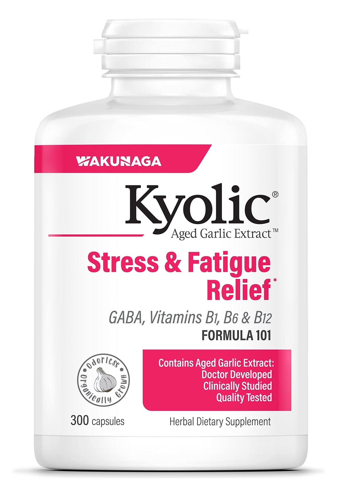 Kyolic Aged Garlic Extract 300 Caps vue de face avec étiquette visible