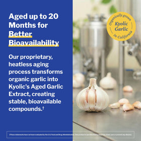 Kyolic Extrait de Ail Vieilli 300 Capsules, format de capsule