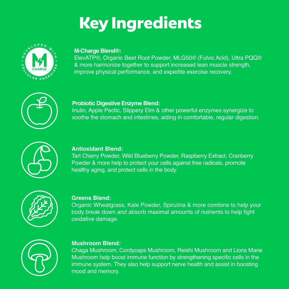 L'Evate You Vitality Daily Greens 200g powder scoop