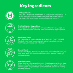 L'Evate You Vitality Daily Greens 200g powder scoop