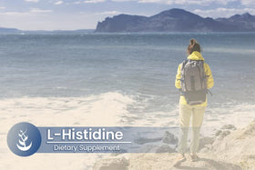 L-Histidine PURE ORIGINAL INGREDIENTS avec étiquette claire