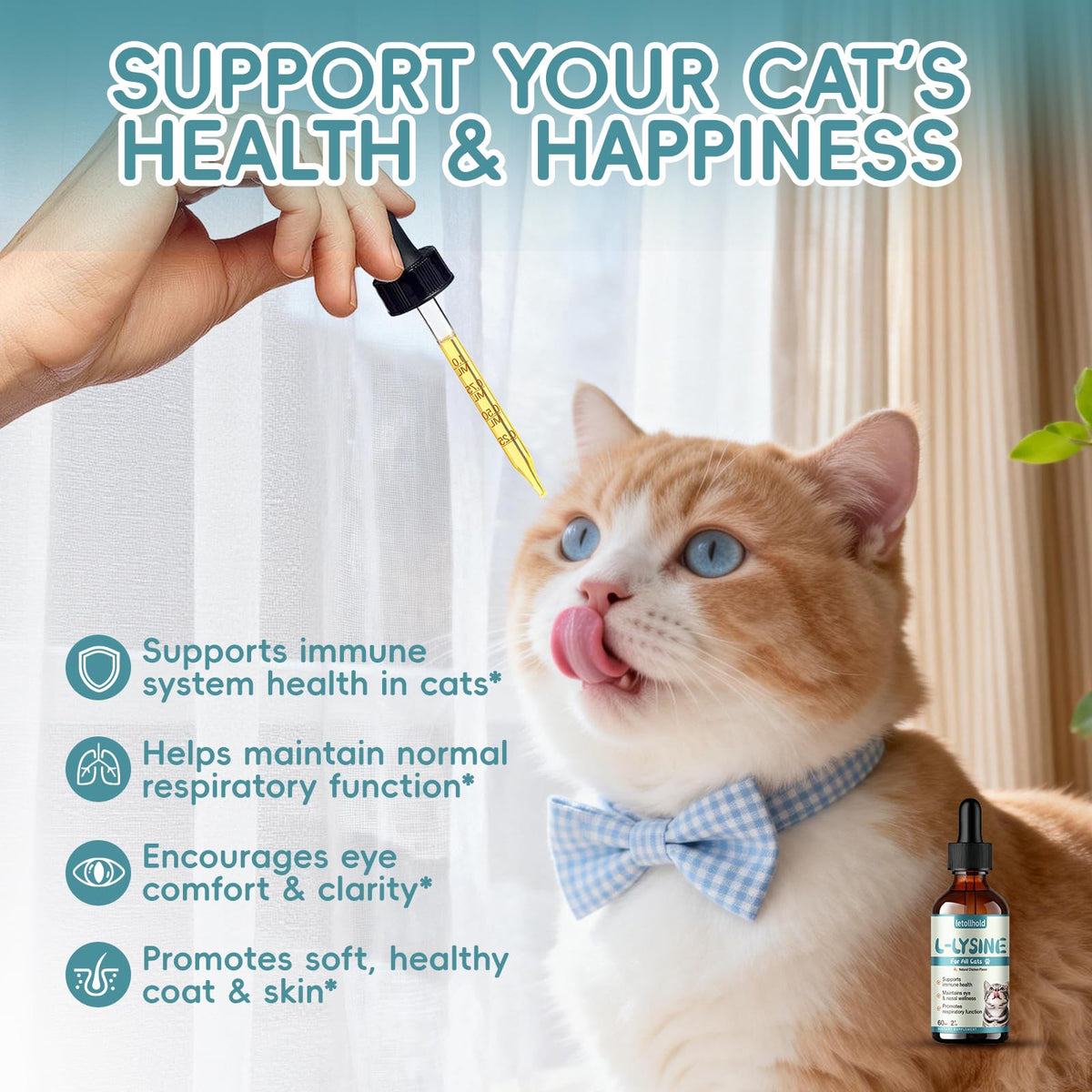 L-Lysine Liquide pour Chats 60ml avec ingrédients naturels