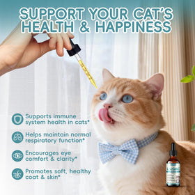 L-Lysine Liquide pour Chats 60ml avec ingrédients naturels