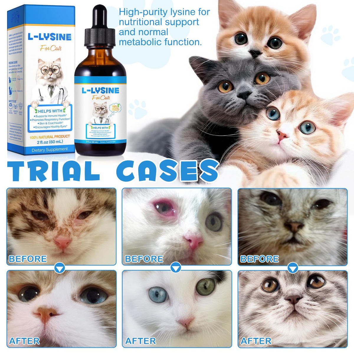 L-Lysine pour Chats 60ml à côté d'un chat curieux