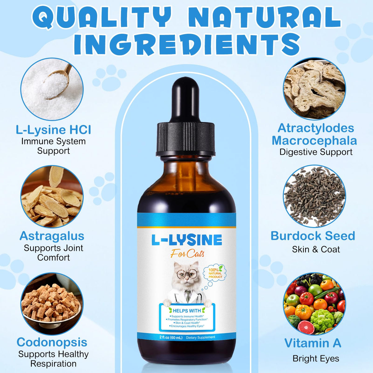 L-Lysine pour Chats 60ml sur fond blanc