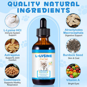 L-Lysine pour Chats 60ml sur fond blanc
