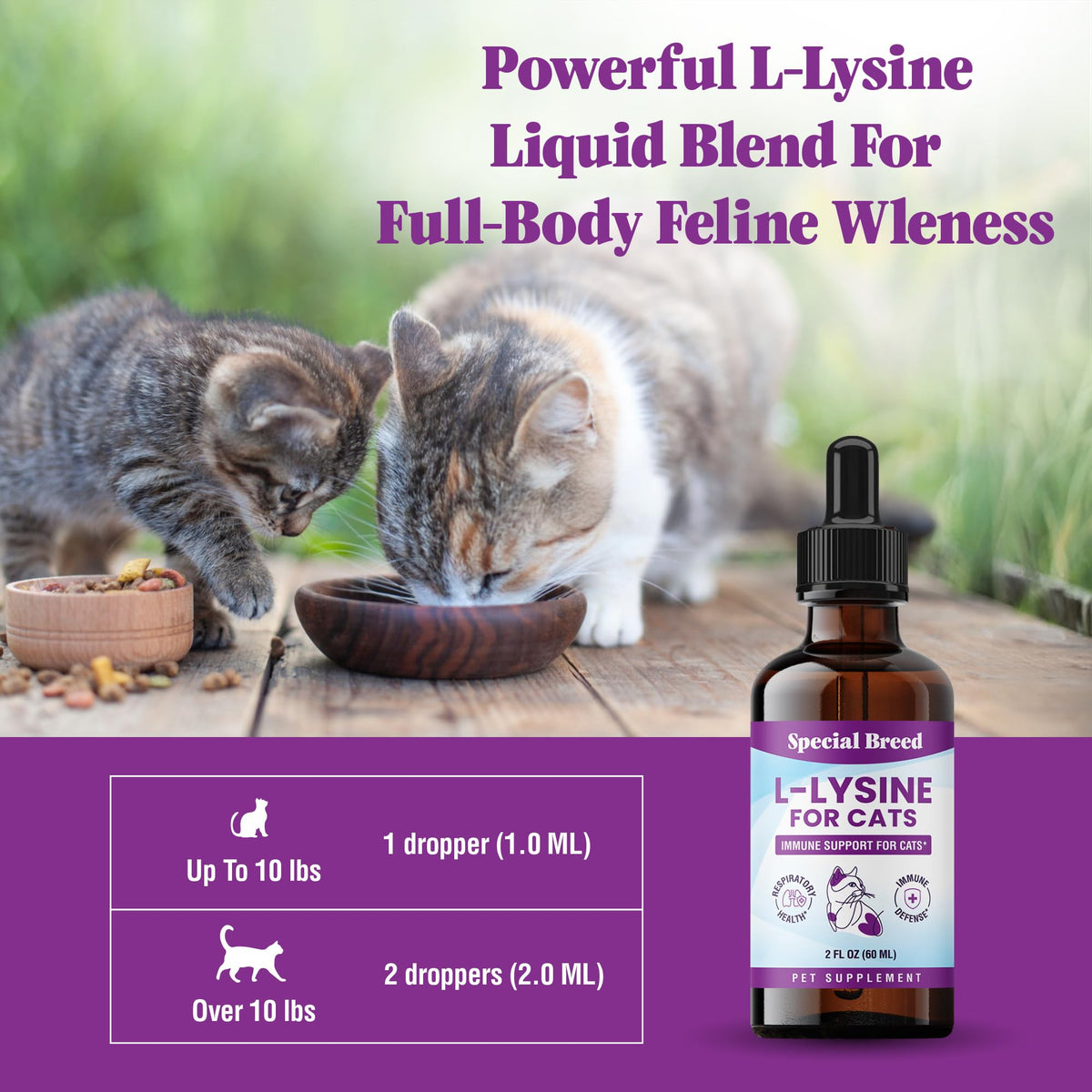 L-Lysine pour chats Special Breed avec des herbes traditionnelles