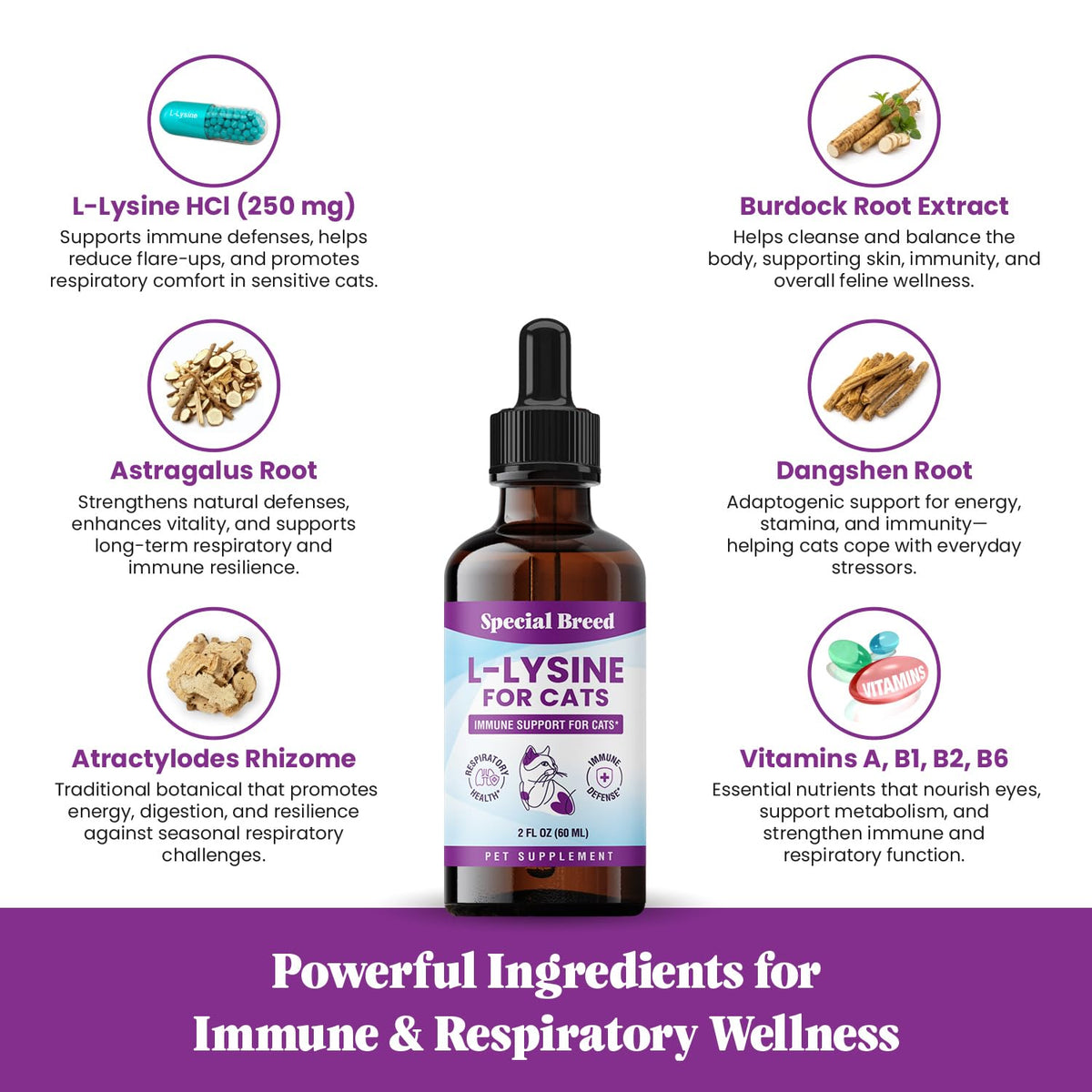 L-Lysine pour chats Special Breed sur une table avec des gamelles