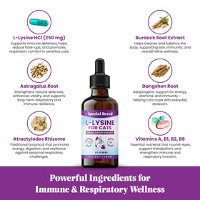 L-Lysine pour chats Special Breed sur une table avec des gamelles