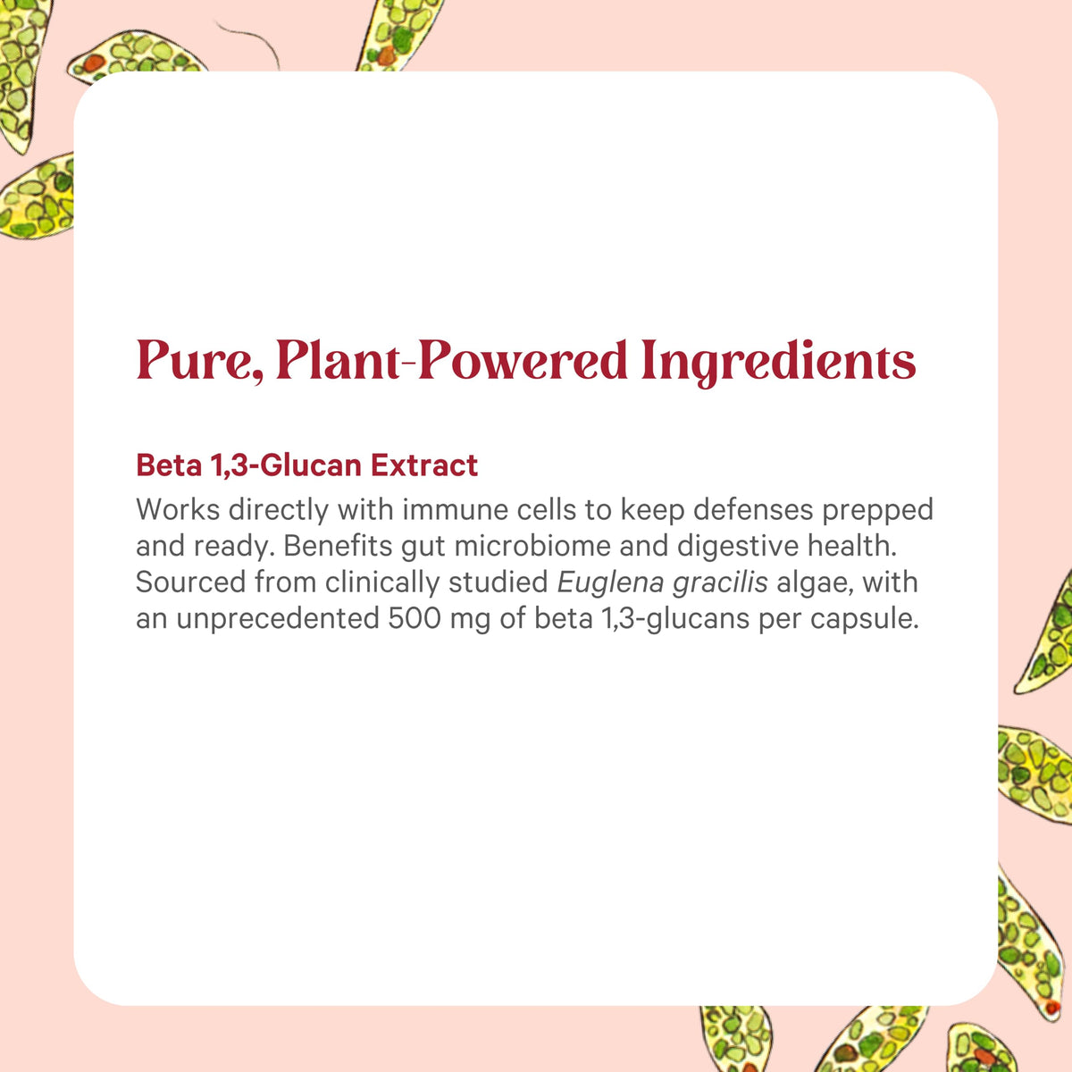 Label des capsules SuperPure Beta 1,3-Glucan de PURE SYNERGY